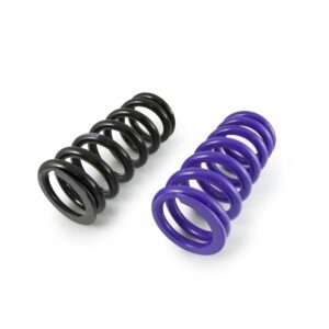 Rear Springs
