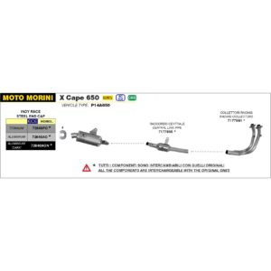 malaguti xsm / xtm 125 2019 arrow exhaust (copy)