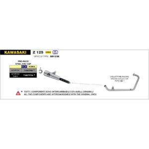 kawasaki j125 abs 2016 arow exhaust (copy)