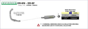 Kawasaki ER-6F / ER-6N 2005 2006 2007 2008 2009 2010 2011 Arrow Exhaust