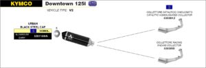 Kymco Downtown 125i 2009 2010 2011 2012 2013 2014 2015 2016 Arrow Exhaust